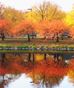Fall