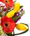 Celebrate Spring!