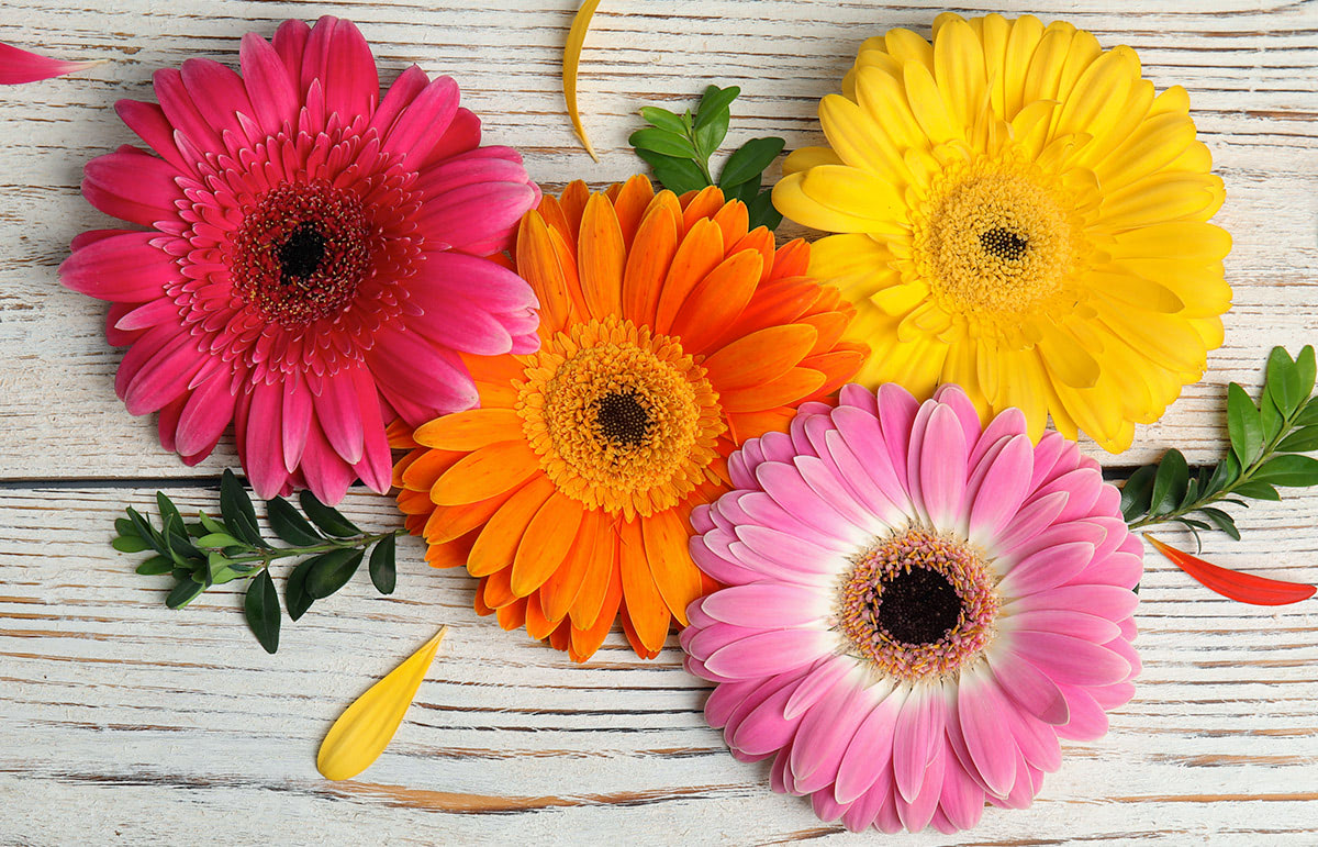 Buy vibrant Sunflower & Daisy silk flower accent at Petals.