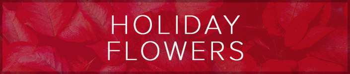 Holiday Flowers
