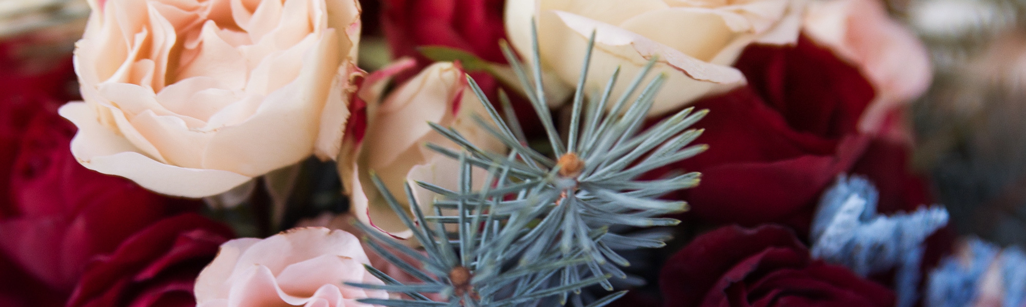 Everett & Lynnwood (WA) Flower Delivery Stadium Flowers