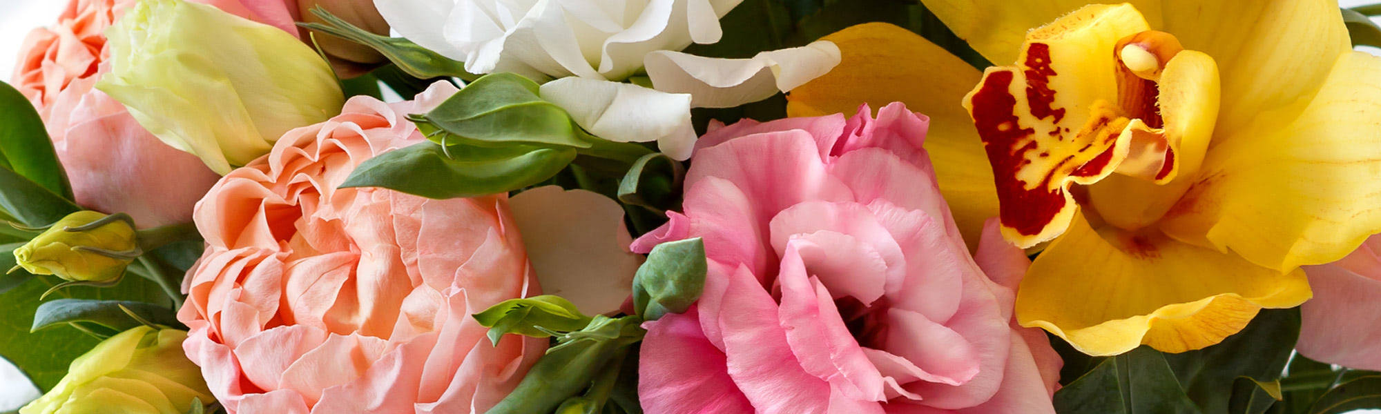 Everett & Lynnwood (WA) Flower Delivery Stadium Flowers