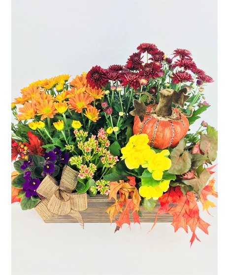 Velvet Fall Garden