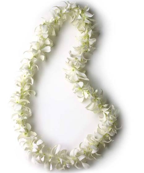 White Orchid Lei