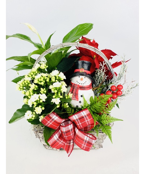 A jolly snowman nestled amongst a European garden filled with Poinsettia, blooming and green plants in a birch basket. 