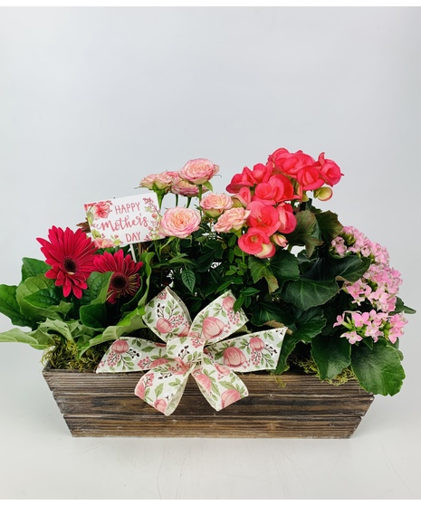 Show appreciation to your loved one with this spring-themed garden overflowing with cheerful pink blooms. 