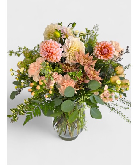 Dahlia Delight