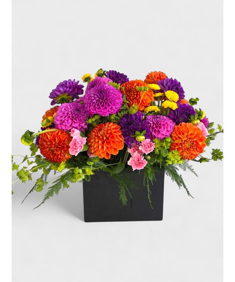 Urban Dahlias
