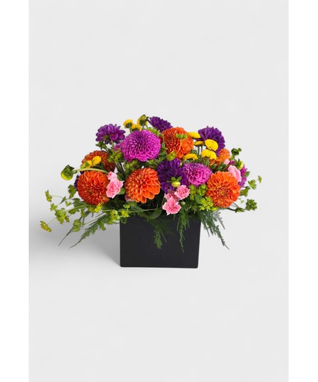 Urban Dahlias