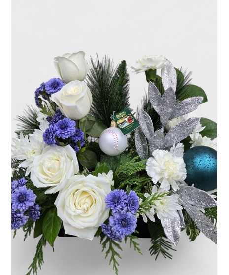 Baseball  Ornament Gift