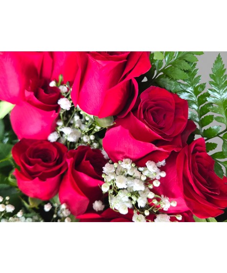 Best foot forward! Show them how proud you are, with a presentation bouquet. Your choice of 12, 24, 50 or 100 roses wrapped in Kraft paper with babies breath! 