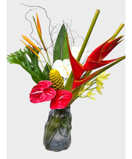 Tropical Fusion