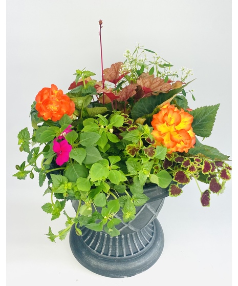 Summer Outdoor Porch Planter