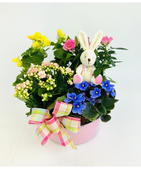Bunny Garden