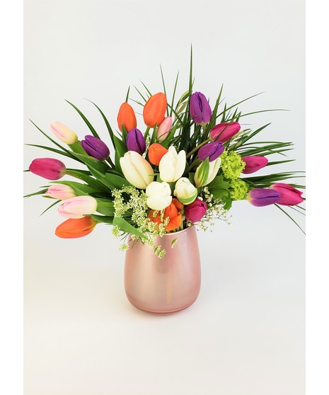European Mixed Tulips