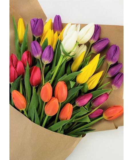Tulip Fields
