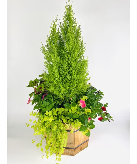 Outdoor Cedar Planter