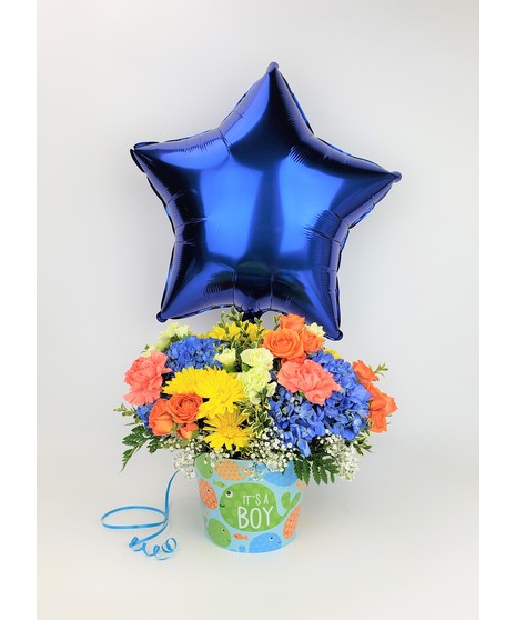 Blue Bundle of Joy