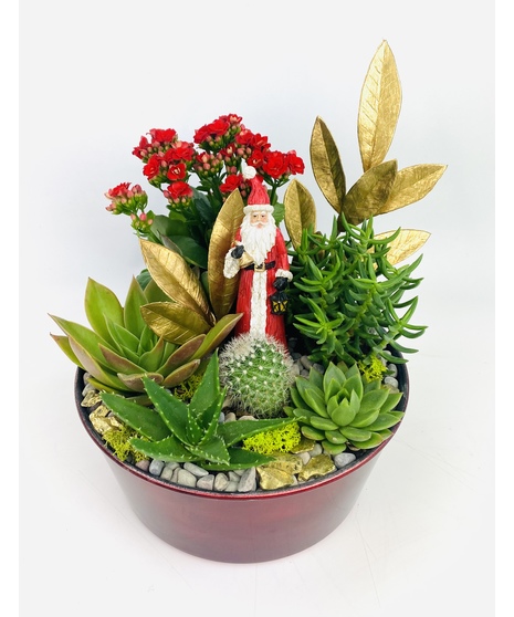 Desert Santa