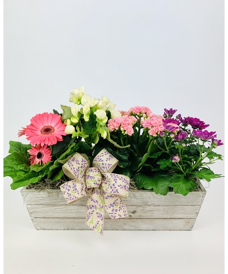 A rustic wooden crate filled with blooming plants and a 2.8oz bag of salted caramel bark for the gardener in your life. Plants may vary from picture based on availability.