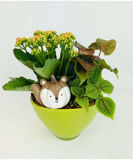 Pumpkin Critter Garden