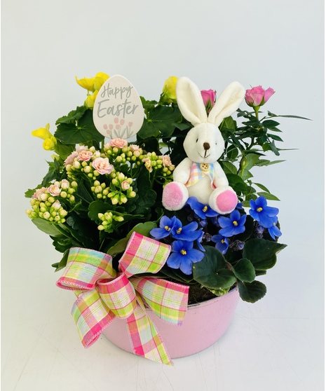An upgrade on the traditional Easter basket! This pink or blue planter is filled with spring plants, a bashful bunny pick and is accented with seasonal decor.