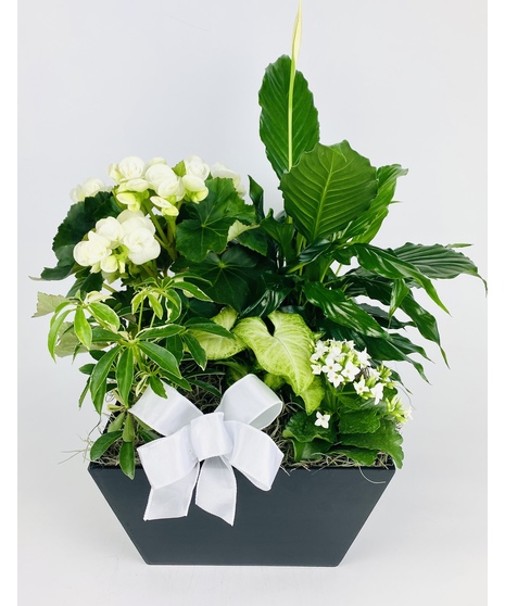 Cherished Memories Garden