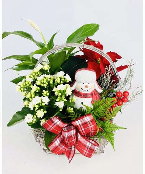 A jolly snowman nestled amongst a European garden filled with Poinsettia, blooming and green plants in a birch basket. 