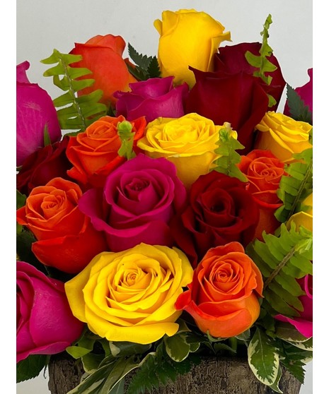 Rainbow wishes for your loved one! all the best and brightest color available in this mixed dozen
