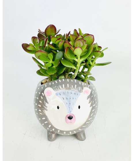 These adorable woodland friend succulent gardens are a unique gift that will surely put a smile on anyone's face!