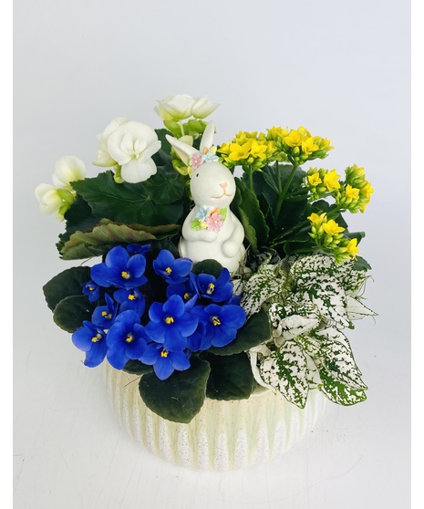 This festive Easter dish garden comes complete with an adorable keepsake Easter bunny accent!
