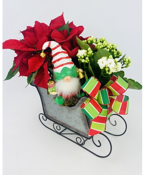 Gnome for the Holidays