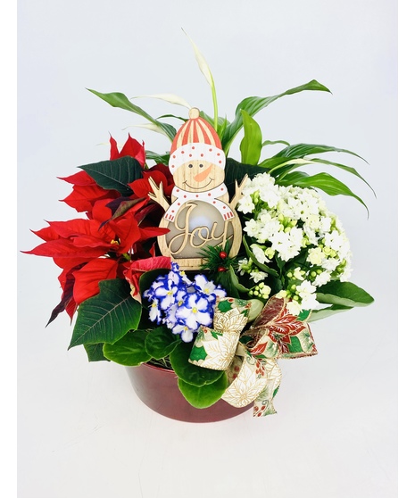This brightly colored garden is a burst of Christmas!  Cheerful flowers are seated in a melamine red planter.