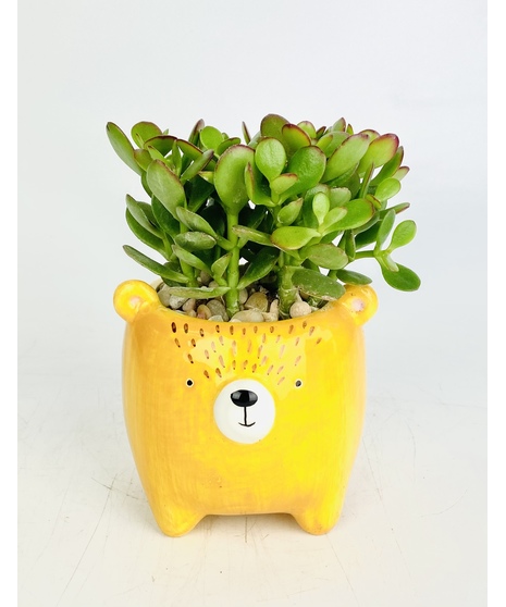These adorable woodland friend succulent gardens are a unique gift that will surely put a smile on anyone's face!