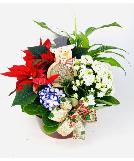 Christmas Pot of Sunshine