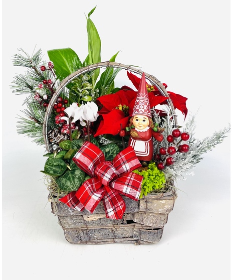 A skiing Nordic Gnome nestled amongst festive blooming and green plants make up this fun, whimsical winter garden.  