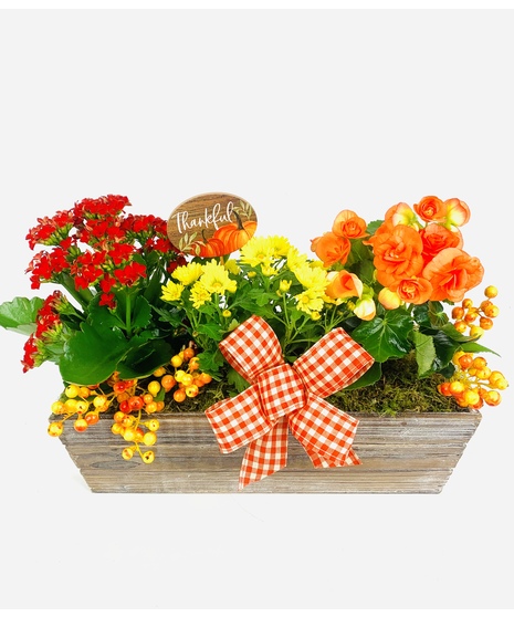 A rustic wood rectangle with fall plants and accents to make the perfect fall centerpiece for your family to gather around.
