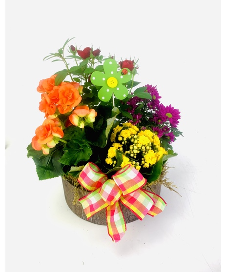 Brilliant colored blooming plants with tropical green plants in a ceramic container.  Container color may vary.