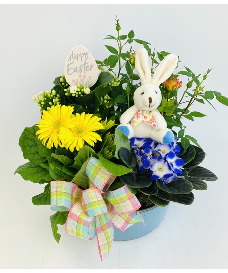 An upgrade on the traditional Easter basket! This pink or blue planter is filled with spring plants, a bashful bunny pick and is accented with seasonal decor.