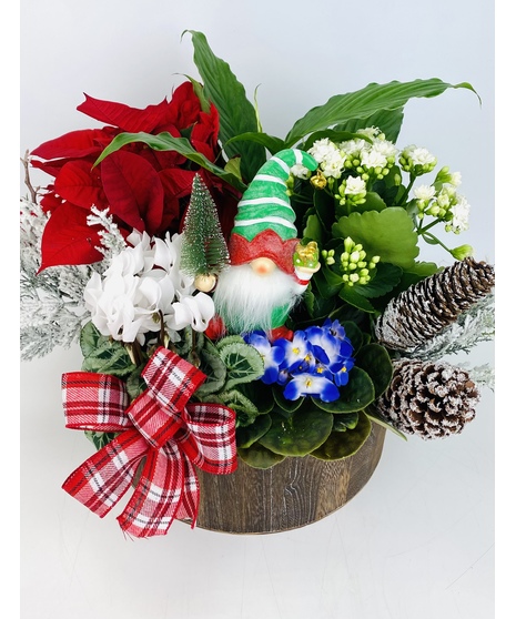 Christmas Gnome Garden
