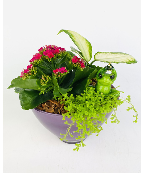 This white ceramic planter filled with green and blooming plants is the perfect home for a keepsake yoga frog garden friend! 