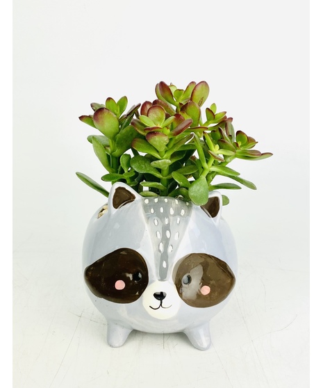 These adorable woodland friend succulent gardens are a unique gift that will surely put a smile on anyone's face!