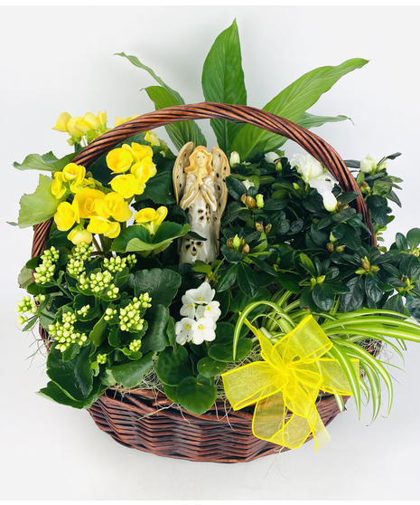 A rich mahogany-colored basket filled with yellow and white blooming plants, as well as green plants. A classic and perfect sentiment for those who have passed.