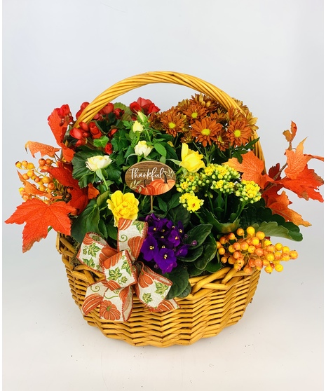 Grateful Garden