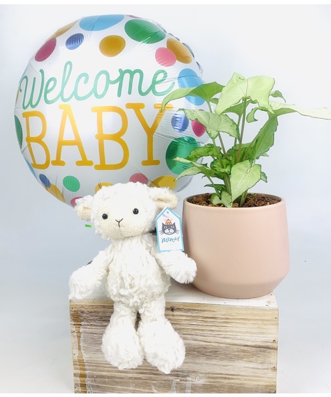 When it comes to nursery decor, there’s nothing like the softness and serenity of an indoor plant to pull all the elements together! 