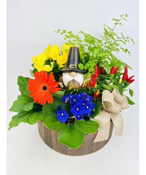 Flowering Plants