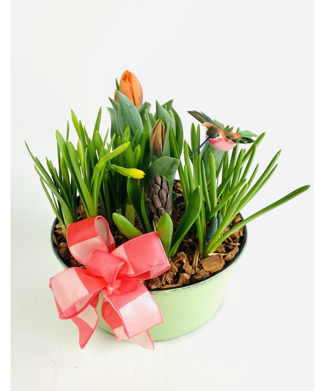 Spring Tulip Planter