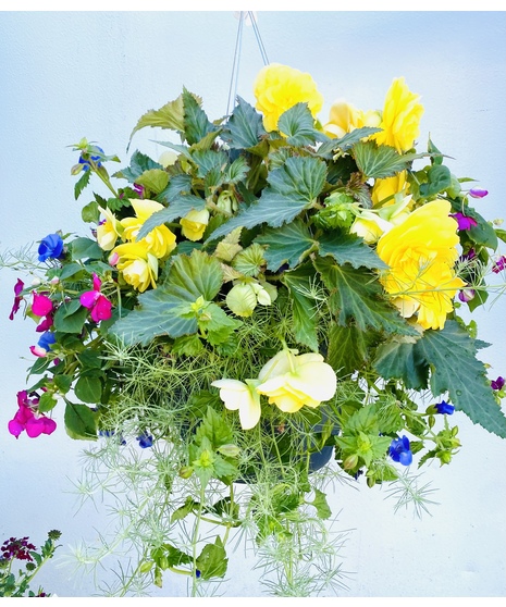 Mixed Shade Basket