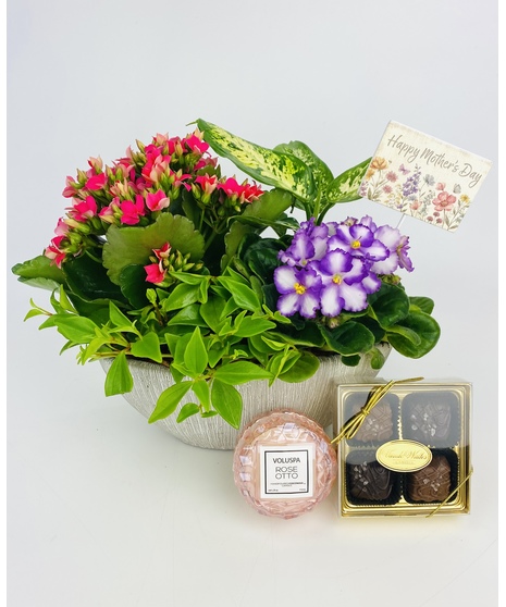 A trio of gifts sure to make any mom feel special! This timeless garden comes complete with a Voluspa candle and gourmet sea salt caramels! 