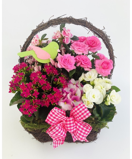 Sweet Bird Garden